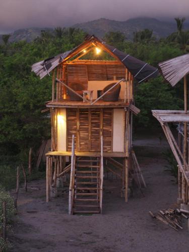 Tonala House | Bokané