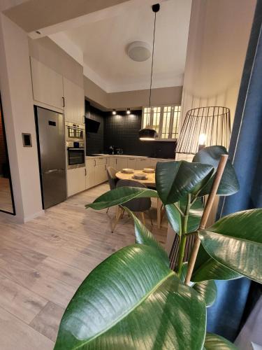 Boleslawiec Apartment | BoleslaviaApartments - Apartament Simon 2, Center, air conditioning