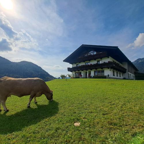 Waidring House | Bommerhof