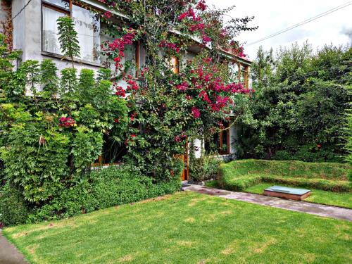 Otavalo Bed & Breakfast | Bonanza Hospedaje