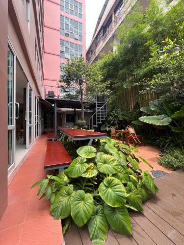 Wat Sam Phraya Hotel | Bonita House