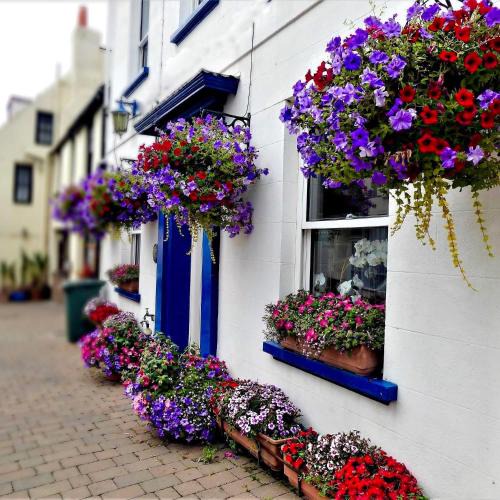 Alderney House | Bonjour Guest house