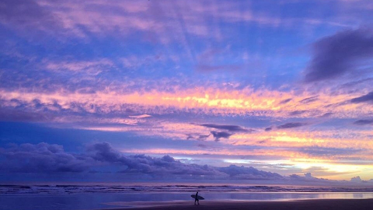Playa Coyote Apartment | BOOK - MOVE IN - FEEL GOOD! The Holiday Studio right on the Pacific Ocean