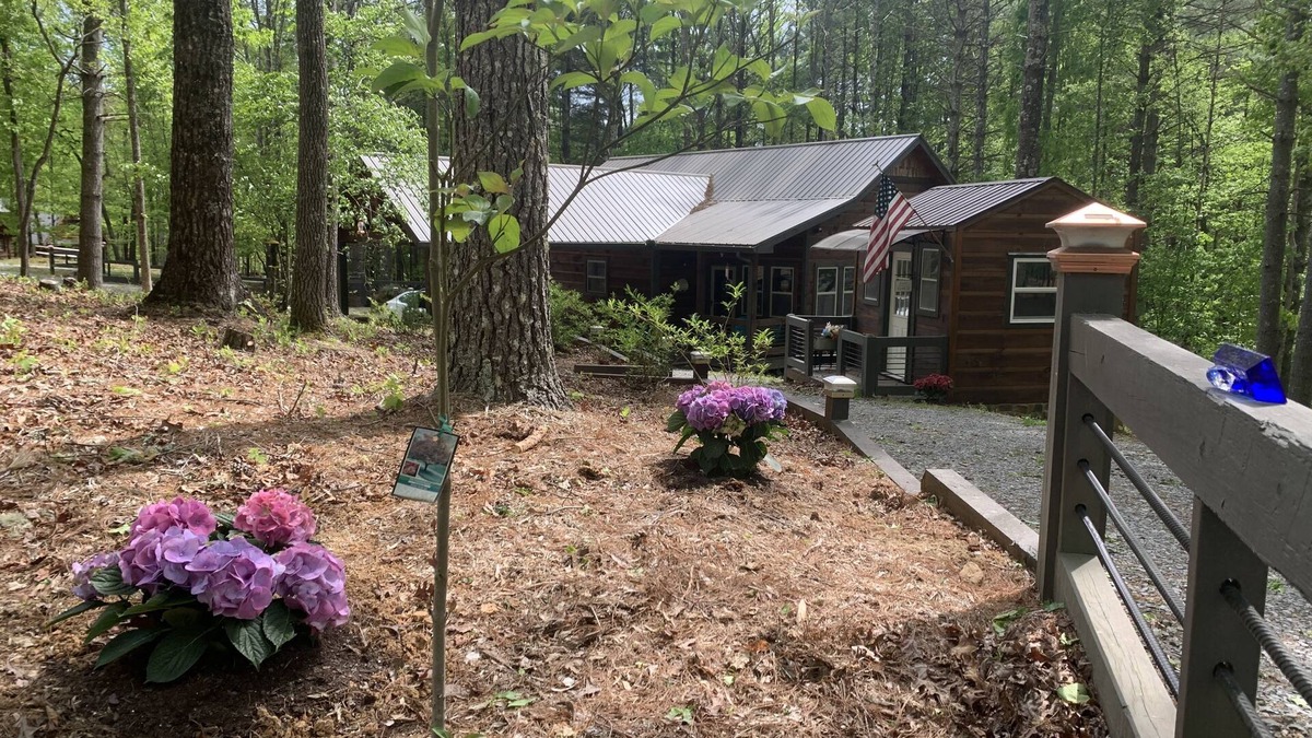 Morganton Cottage | Book today; autumn leaves change soon WOODSIDE COTTAGE in Blue Ridge Mtns N.GA.