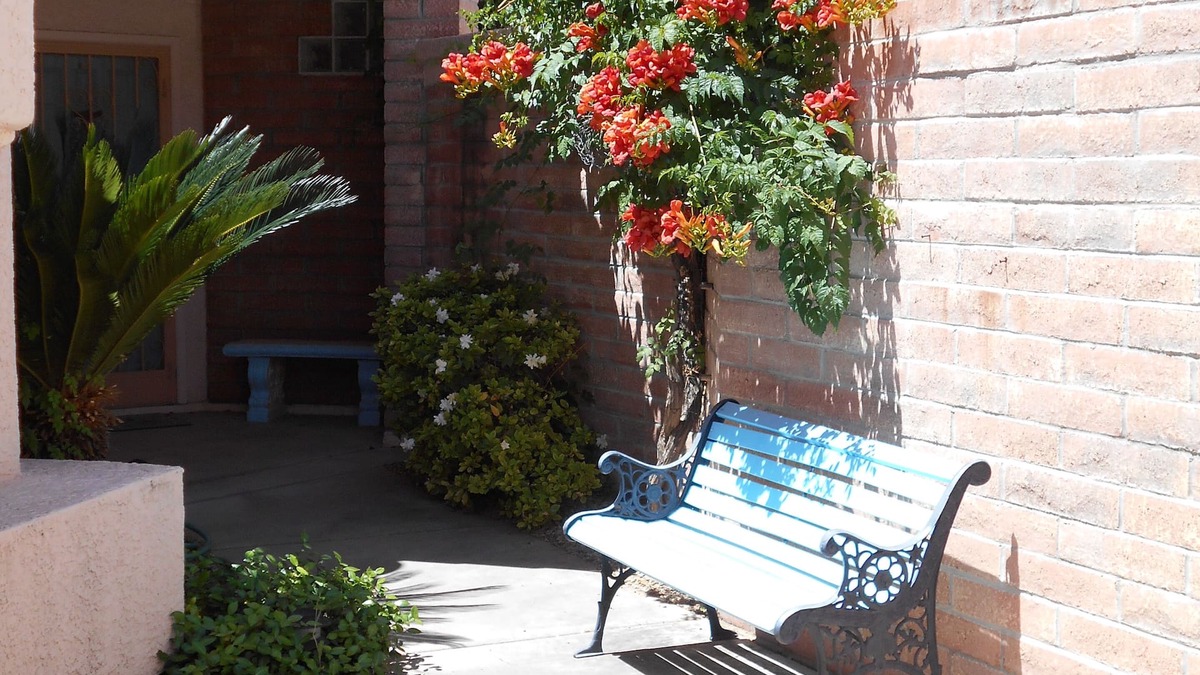 San Ignacio Heights House | BOOKED THRU MAY 2026. Reservations avail for June, July, August 2026, or 2027.