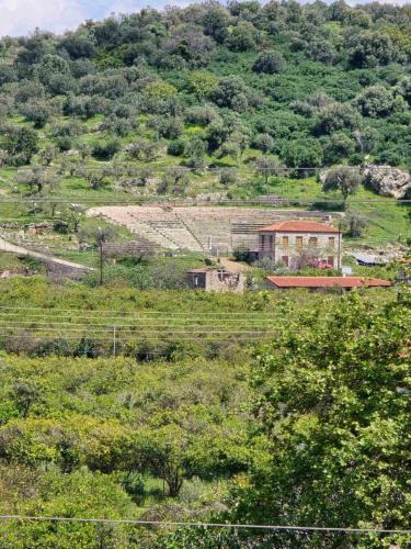 Palaia Epidavros Apartment | Booklou Apartment