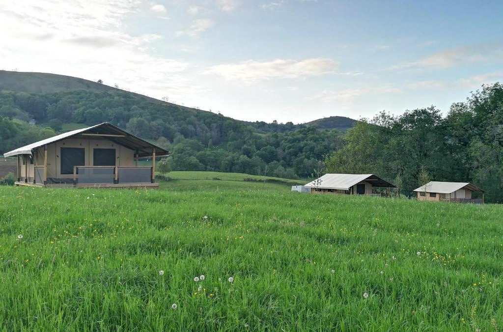 Jaxu Cabin | Borda Lodge