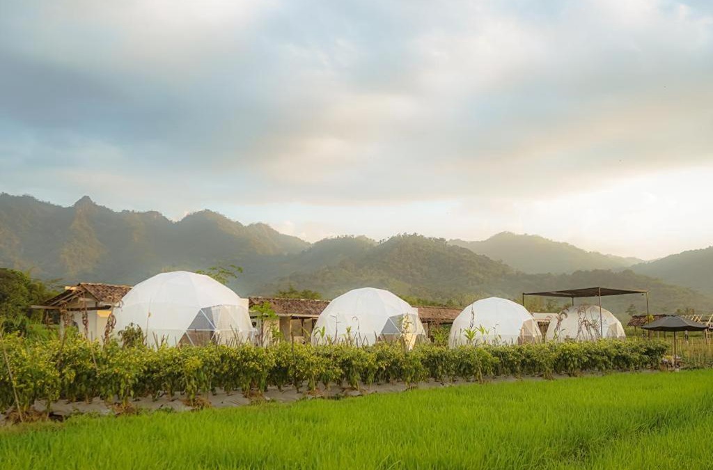 Borobudur Hotel | Borobudur Luxury Glamping