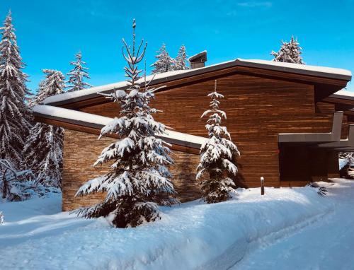Maritsa Villa | Borovets Chalets