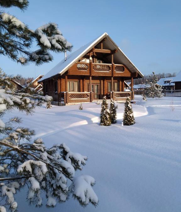 Sovyaki House | Boroviki House