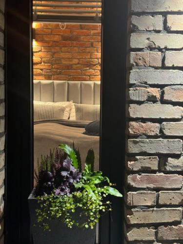 Karwie Apartment | Borowe Apartamenty