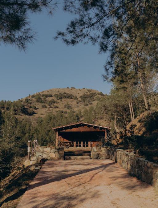Treis Elies Other | Bosco Paradiso