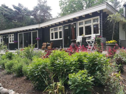 Helmond Bed & Breakfast | Bosgeluk