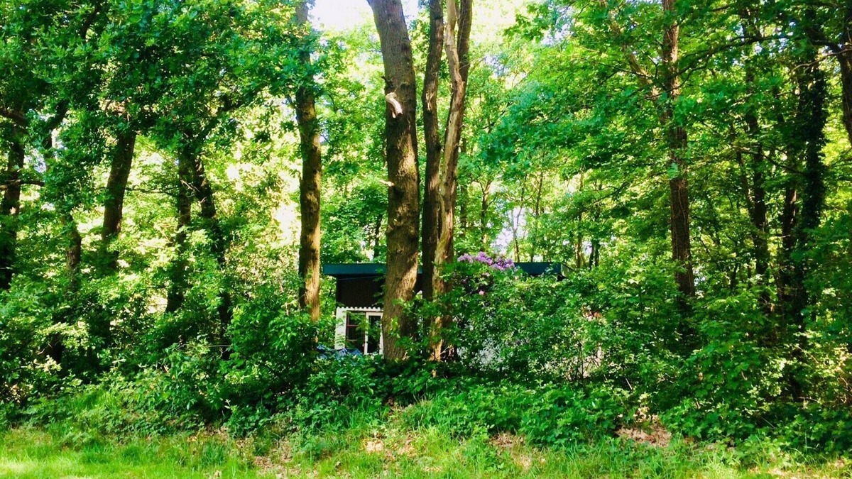 Beesel Cottage | Boshuisje In the middle of nowhere