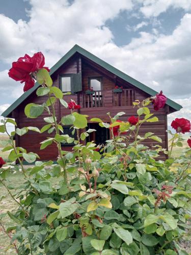 Razvrsje House | Boskovica Brvnare