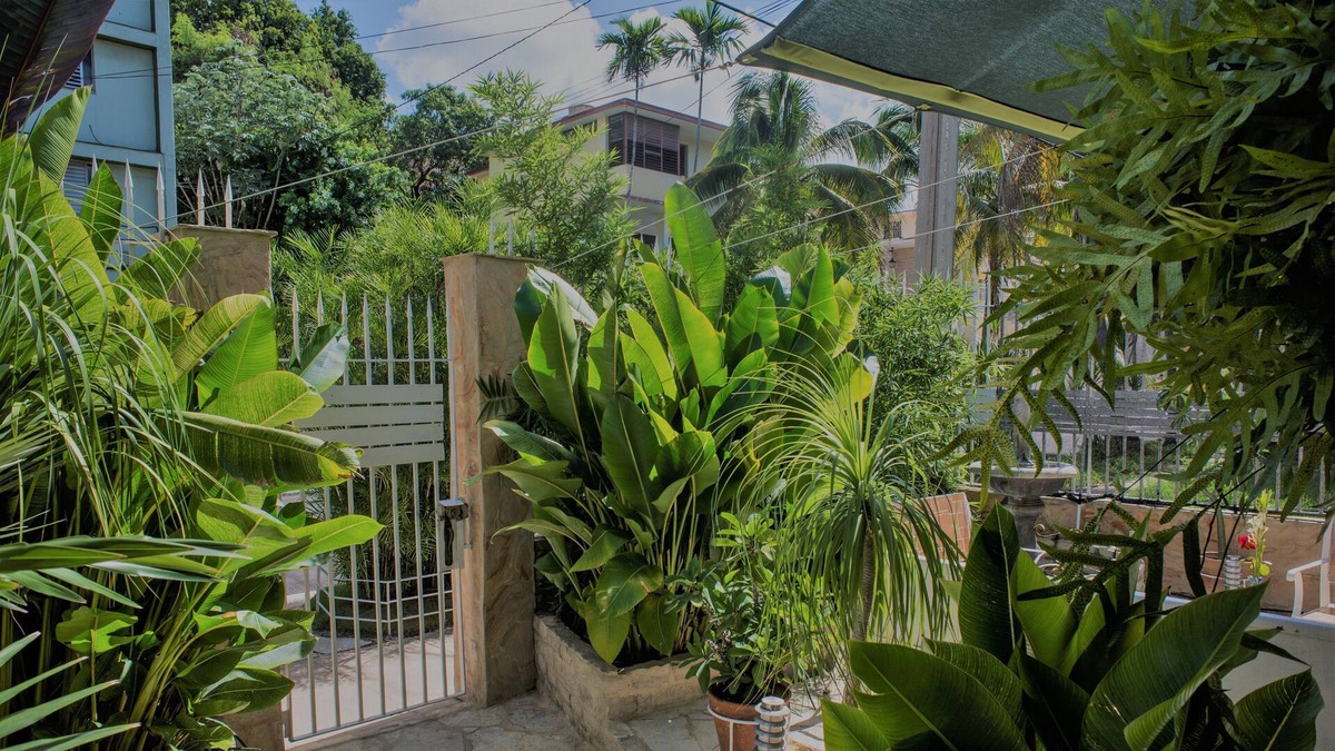 Municipality of Playa Bed & Breakfast | Bosque de la Habana