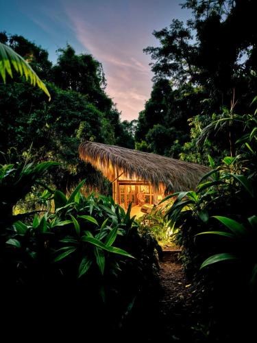 Alegrias House | BOSQUE SECRETO Ecolodge