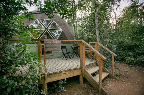 Pinto Cabin | Bosque Vivo