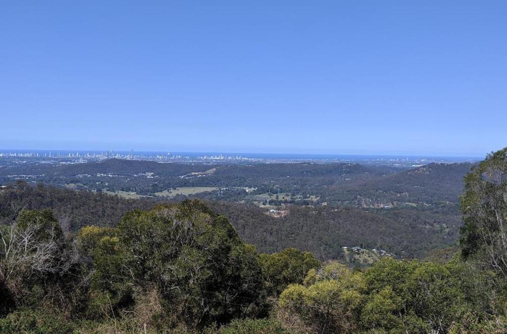 Lower Beechmont House | Bottletree Gardens - Mini Manson Blue