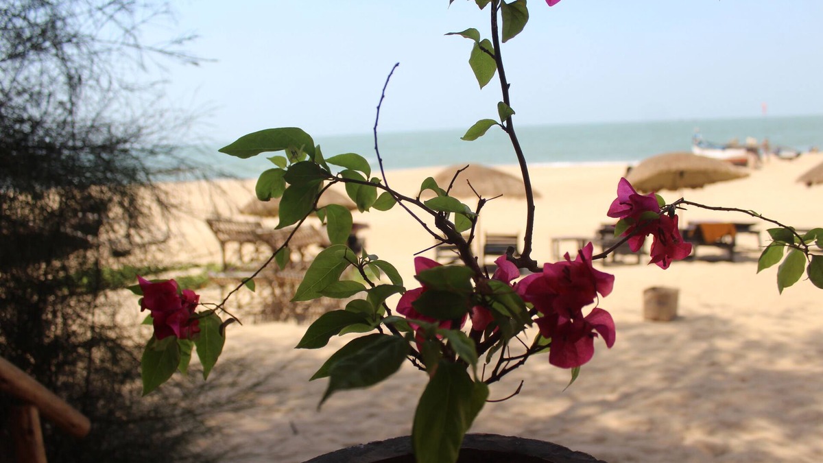 Patnem Cottage | Bougainvilleapatnem beautiful eco friendly cottages