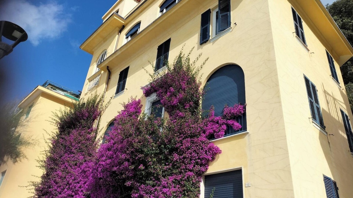 Cinque Terre Apartment | Bouganville House in the center - amazing sea view