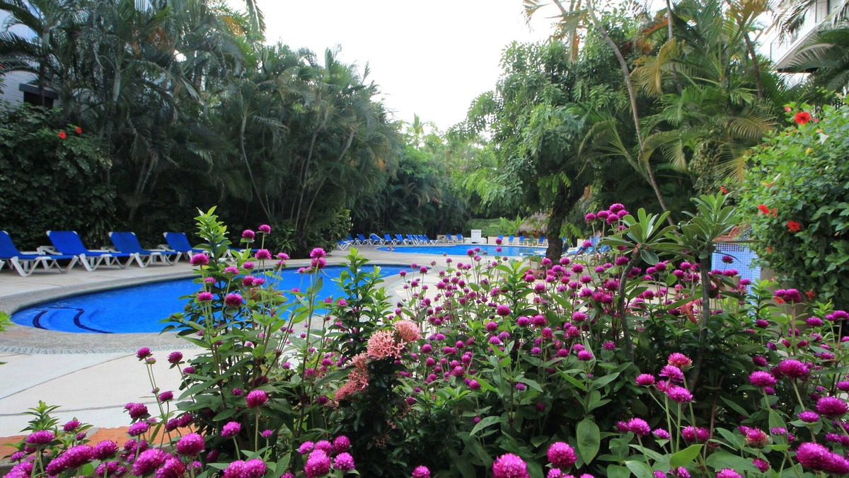 Fluvial Vallarta Apartment | Boutique apartment in the heart of Puerto Vallarta. Beautiful and comfy