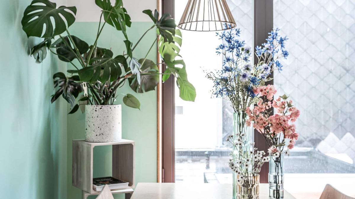 Sluizeken Bed & Breakfast | Boutique B&B Graaf.
