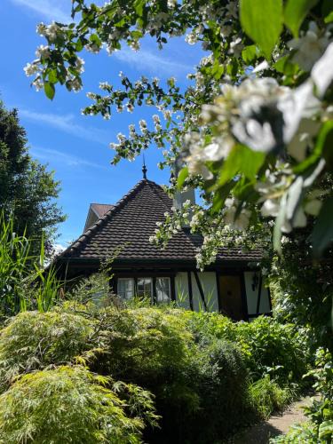 Unterseen House | Boutique B21