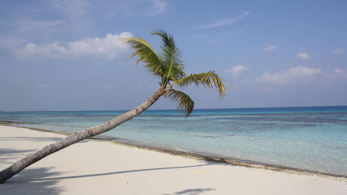 Dhigurah Hotel | Boutique Beach