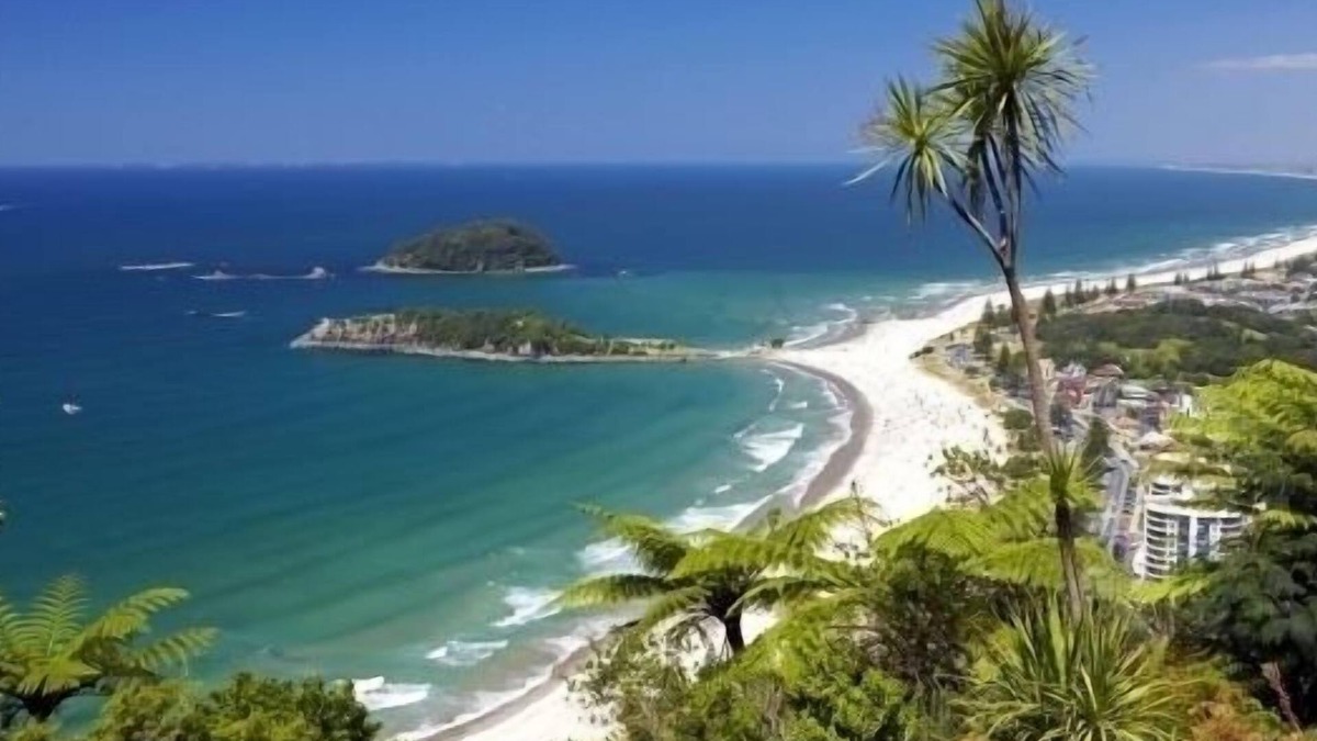 Mount Maunganui House | BOUTIQUE CENTRAL MOUNT HOUSE - KAYAKS, few mins to beach, harbour, cafes, shops