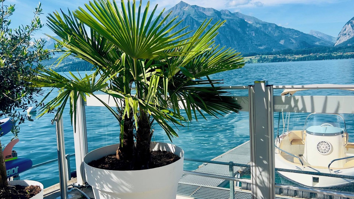 Oberhofen am Thunersee Hotel | Boutique Hotel Niesenblick Self Check In