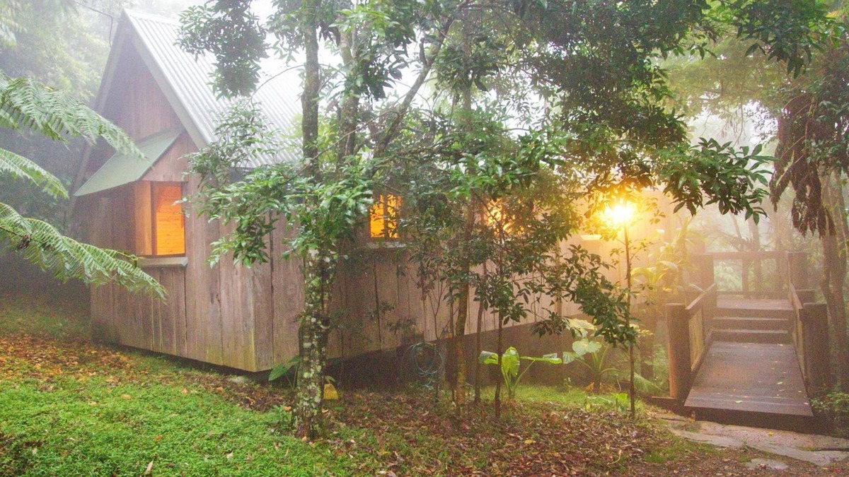 England Creek Cottage | Bowerbird: Mt Glorious Getaways
