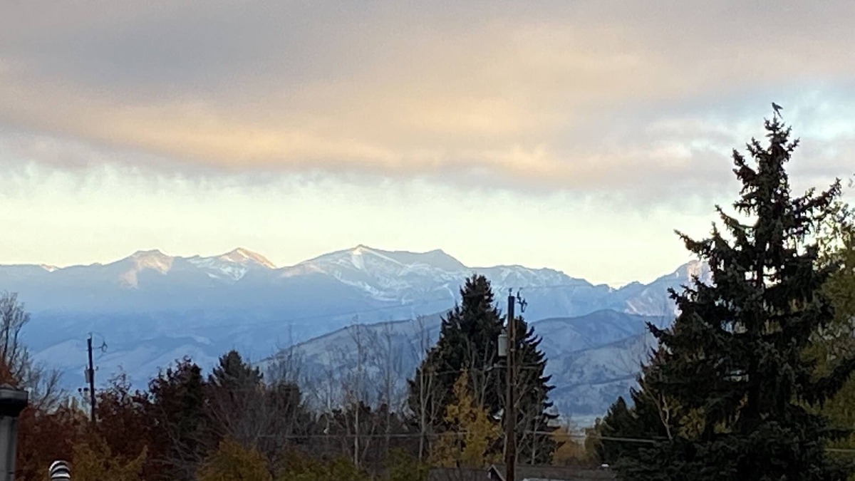 Bozeman House | Bozeman Beehive