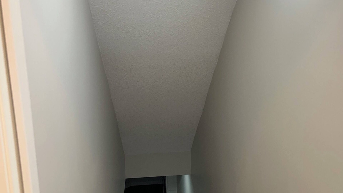 Northeast Edmonton House | Brand new basement with two ensuite rooms