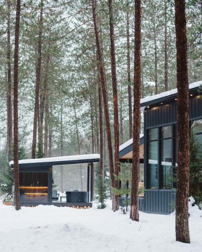 McMurrich/Monteith Villa | Brand New Black Fox Cabin with Private Nordic Spa
