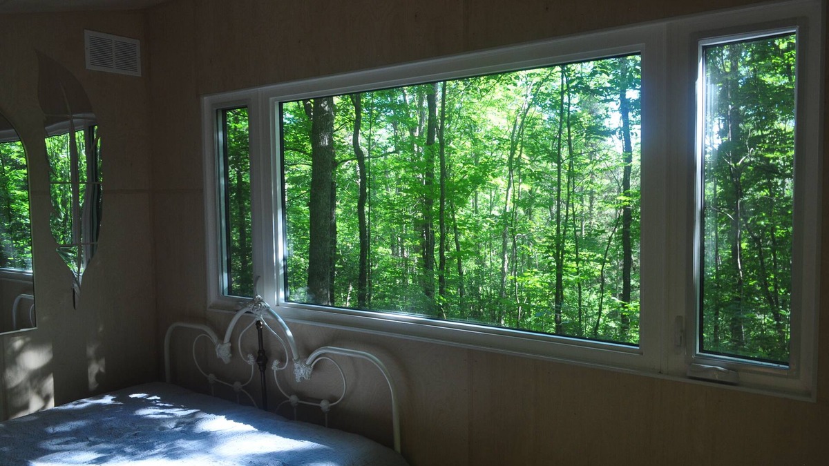 Strong Cabin | Brand New Dream Den Bunkie for Two with Canoe, River Access, and Scenic Trailsn