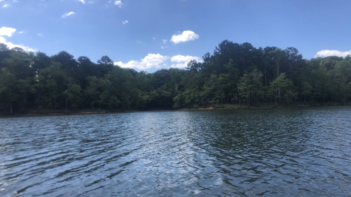 Wise House | Brand new home on Kerr Lake