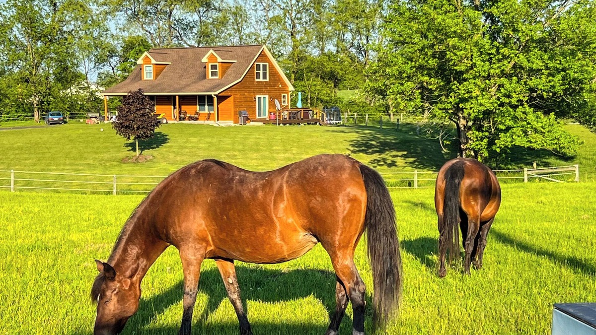 West Milton House | BRAND NEW! Modern Tiny House @ The Horse Stables