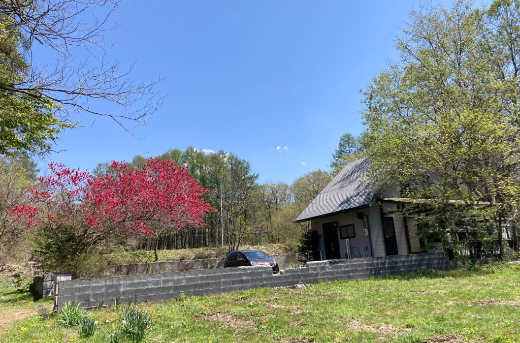 Togakushi Bed & Breakfast | Breath in Earth BandB民泊 戸隠TOGAKUSHI