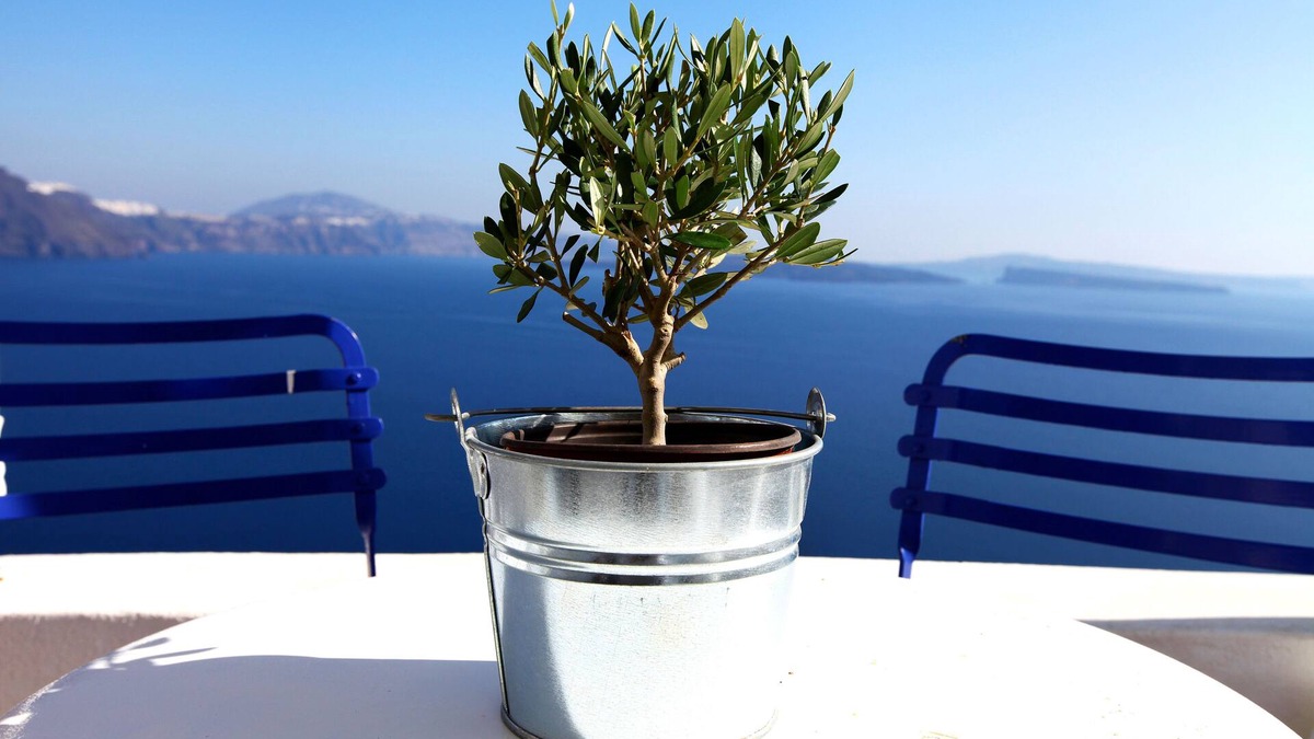 Oia Villa | Breathtaking Caldera View, Great Comfort, Romantic And Fully Revamped.