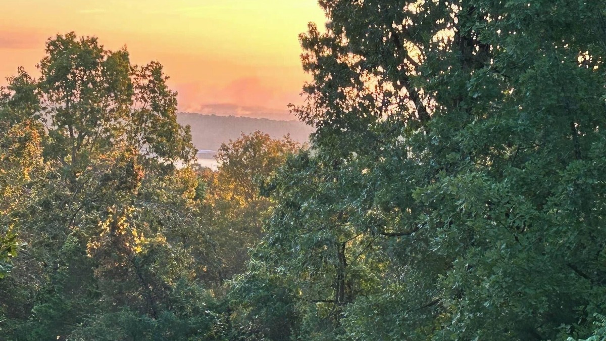 Gamaliel Cabin | Breathtaking lake view on Lake Norfork. “804 HUT”- the reel escape!