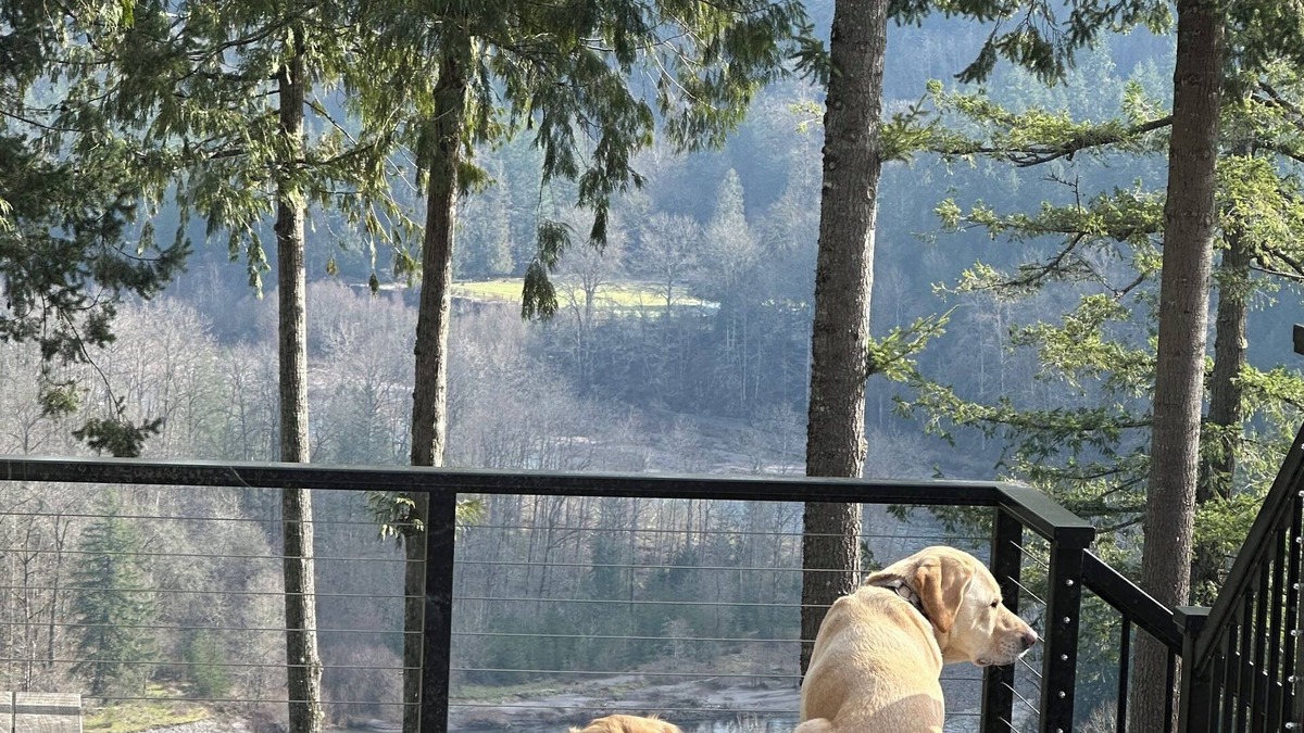 Carver Apartment | Breathtaking views 2-bedroom guest suite: fish, ski, bike, hike, wine tasting