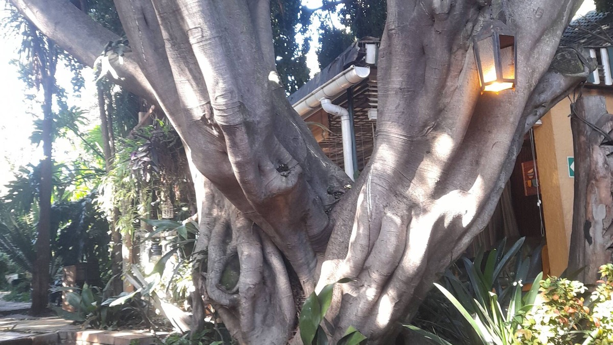 Edenvale House | Breena BnB Guest House