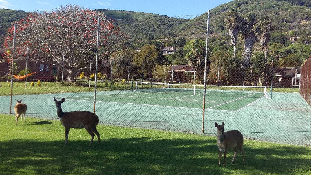 Lake Brenton House | Brenton Park Holiday Cottages
