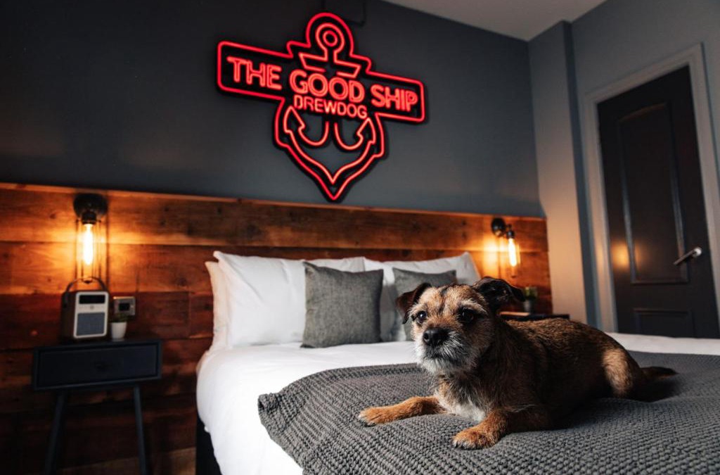 Central Aberdeen Hotel | BrewDog Kennels - Aberdeen
