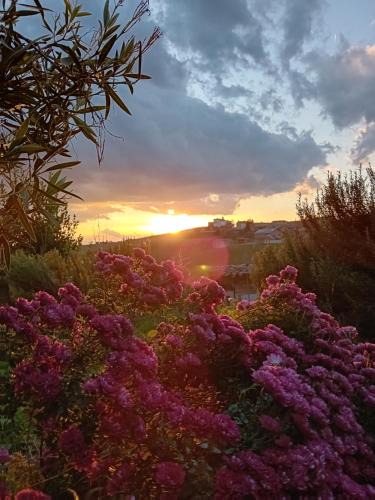 Grana Bed & Breakfast | Bricc e Foss