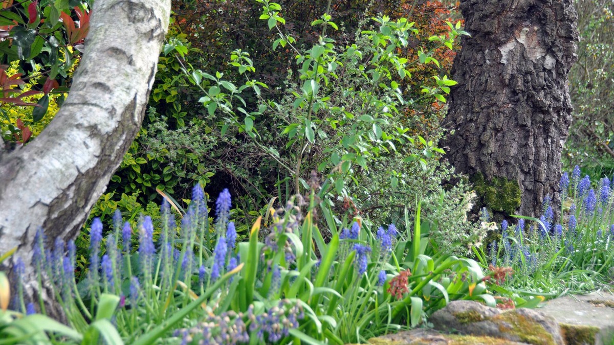 Mansfield House | Bridleways Guest House & Holiday Homes