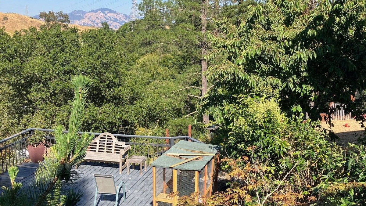 Moraga House | Bright, Airy, Home with Views, Deck