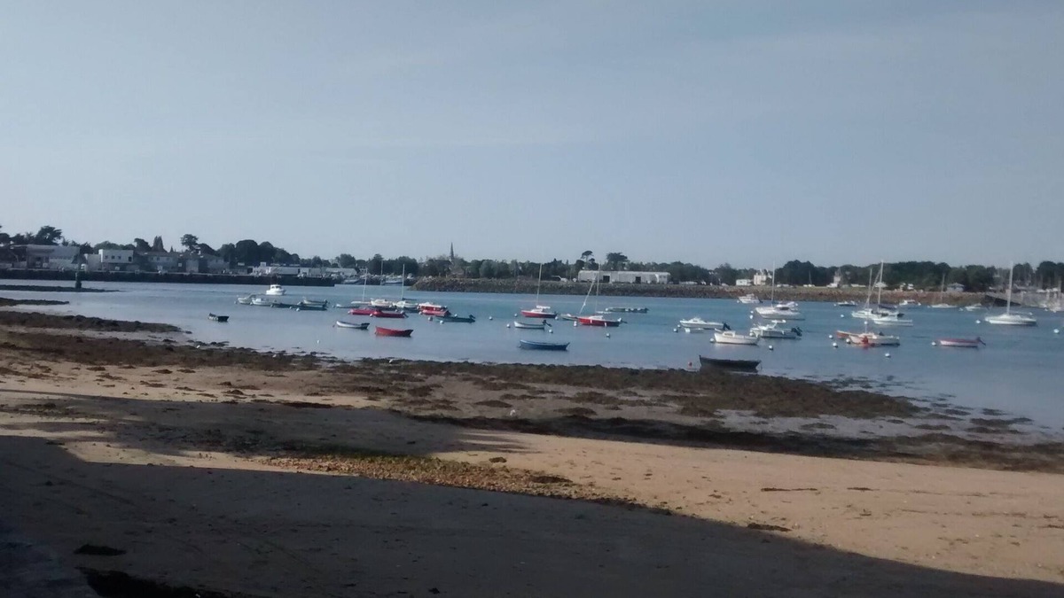 Ile-Tudy Apartment | Bright apartment 200m from the sea and coastal path