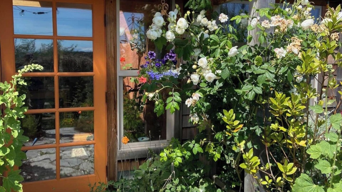 Lopez Island House | Bright art-filled home, fruit trees, valley view